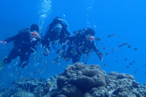 2015.09.10　チービシボート　体験ダイビング