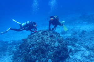 2015.09.18　慶良間ボート　ファンダイビング