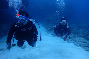 2015.11.03　チービシボート　ファンダイビング