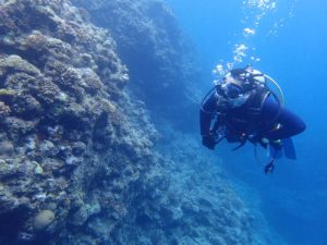 2016.05.03　真栄田ビーチ　ファンダイビング