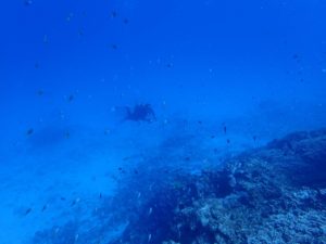 2016.05.04　慶良間ボート　ファンダイビング