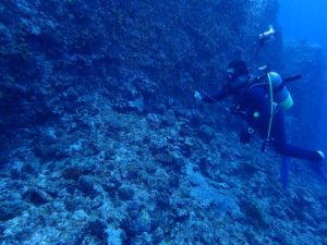 2016.05.05　慶良間ボート　ファンダイビング