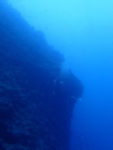 2016.05.01　万座ボート　ファンダイビング