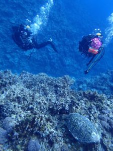 2016.05.07 慶良間ボート　ファンダイビング