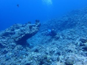 2016.05.05　慶良間ボート　ファンダイビング