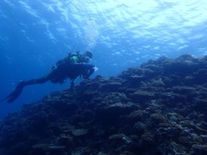 2016.05.01　万座ボート　ファンダイビング