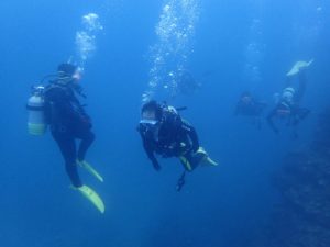 2016.06.04　砂辺ビーチ　OWDコース