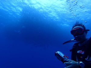 2016.06.05　粟国遠征ボート　ファンダイビング