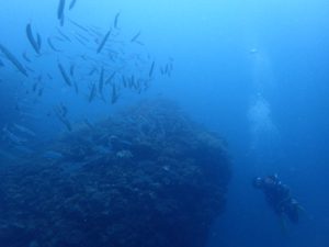 2016.06.07　砂辺ビーチ　ファンダイビング