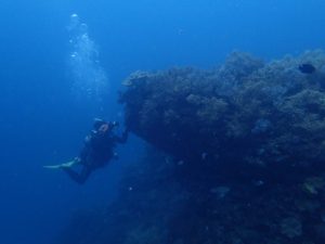 2016.06.07　砂辺ビーチ　ファンダイビング