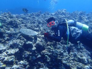 2016.06.08　慶良間ボート　ファンダイビング