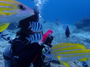 2016.06.03 山田・真栄田ボート　ファンダイビング