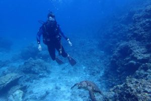 2016.07.06　慶良間ボート　ファンダイビング