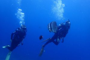 2016.07.05 真栄田岬ビーチ　ファンダイビング