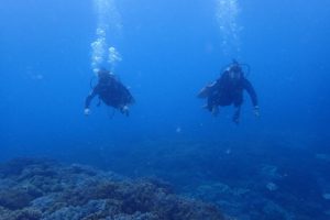 2016.07.07　砂辺ビーチ　ファンダイビング