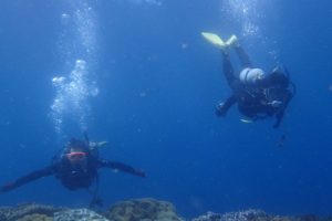 2016.07.01　砂辺ビーチ　ファンダイビング