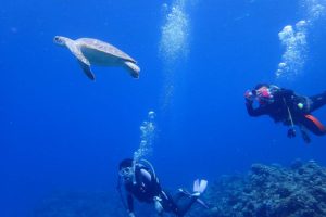 2016.07.15 慶良間ボート　ファンダイビング
