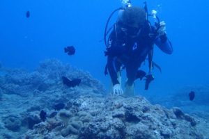 2016.07.07　砂辺ビーチ　ファンダイビング