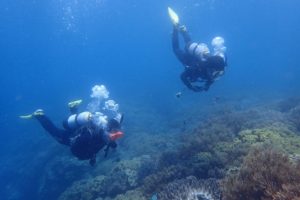 2016.07.01　砂辺ビーチ　ファンダイビング