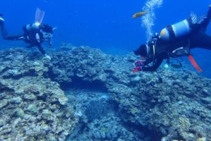 2016.07.15 慶良間ボート　ファンダイビング