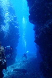 2016.07.15 慶良間ボート　ファンダイビング