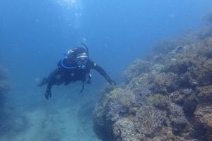 2016.07.02 砂辺ビーチ　ファンダイビング