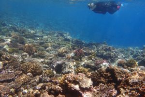2016.07.04 真栄田岬ビーチ　スノーケル