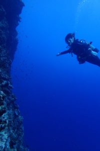 2016.08.03　慶良間ボート　ファンダイビング