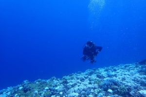 2016.09.09　慶良間ボート　ファンダイビング