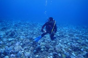 2016.09.08　慶良間ボート　ファンダイビング