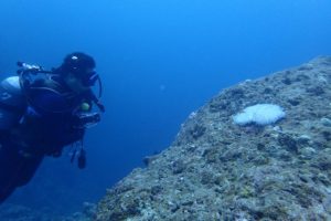 2016.09.10　万座ボート　ファンダイビング