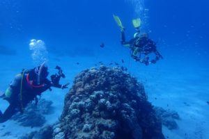 2016.09.03　慶良間ボート　ファンダイビング