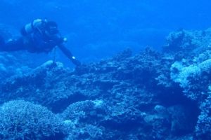 2016.09.08　慶良間ボート　ファンダイビング