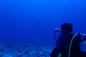 2016.09.09　慶良間ボート　ファンダイビング