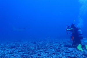 2016.09.03　慶良間ボート　ファンダイビング