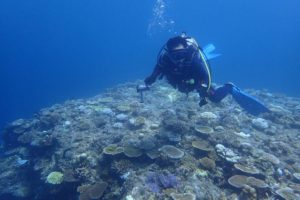 2016.09.10　万座ボート　ファンダイビング