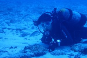 2016.10.06　慶良間ボート　ファンダイビング