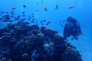 2016.10.05　慶良間ボート　ファンダイビング