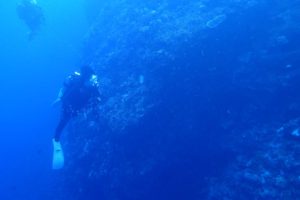 2016.10.06　慶良間ボート　ファンダイビング