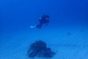 2016.10.05　慶良間ボート　ファンダイビング