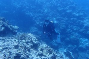 2016.10.07 慶良間ボート　ファンダイビング
