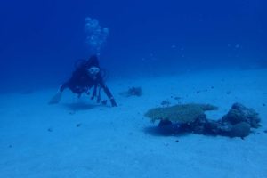 2016.10.06　慶良間ボート　ファンダイビング