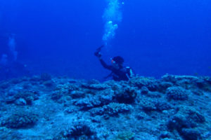 2017.06.13　粟国遠征ボート　ファンダイビング