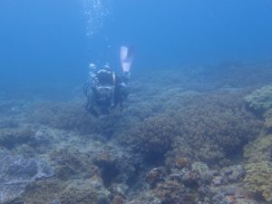 2017.06.18　砂辺ビーチ　ファンダイビング