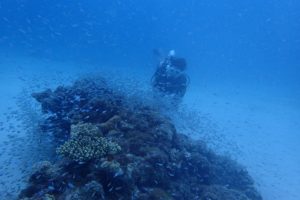 2017.06.16　慶良間ボート　ファンダイビング