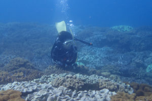 2017.06.06　砂辺ビーチ　ファンダイビング