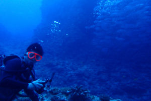 2017.06.13　粟国遠征ボート　ファンダイビング