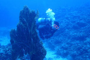 2017.06.14　慶良間ボート　ファンダイビング