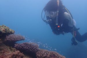 2017.06.17　那覇シーサイドパーク　ファンダイビング