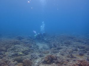 2017.06.18　砂辺ビーチ　ファンダイビング